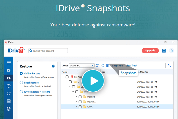 IDrive Review: IDrive snapshots