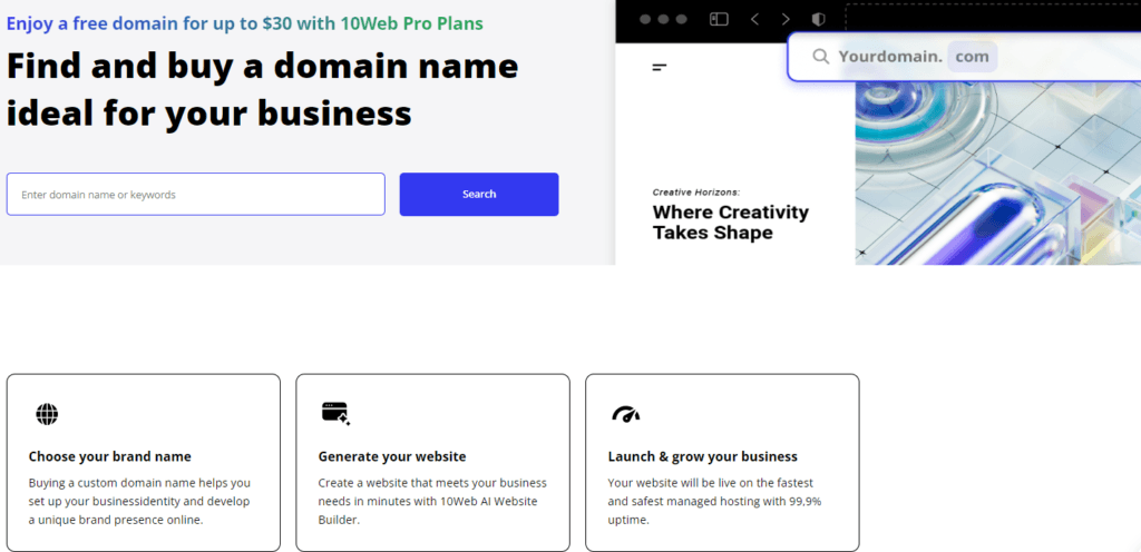 10Web Review: 10Web domains
