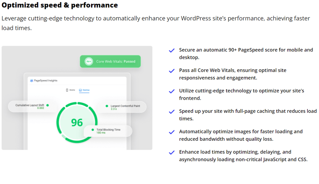 10Web Review: 10Web high-speed performance