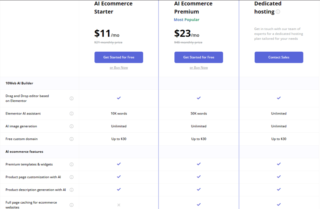 10Web Review: 10Web pricing plans